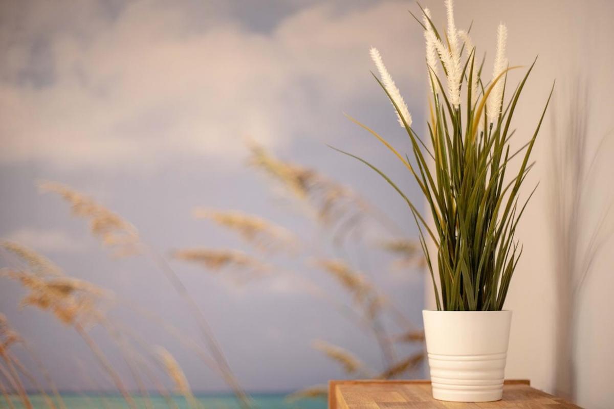 -Malagasunapts- Stylish City Centre Pool&Parking Ngoại thất bức ảnh